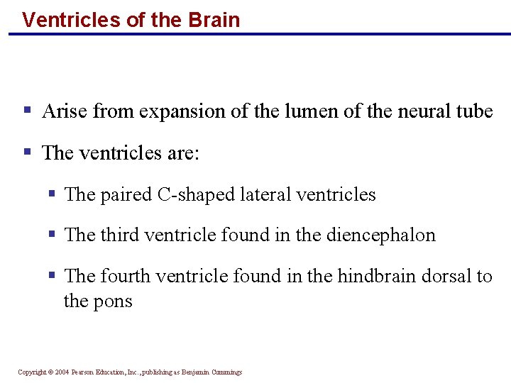 Ventricles of the Brain § Arise from expansion of the lumen of the neural