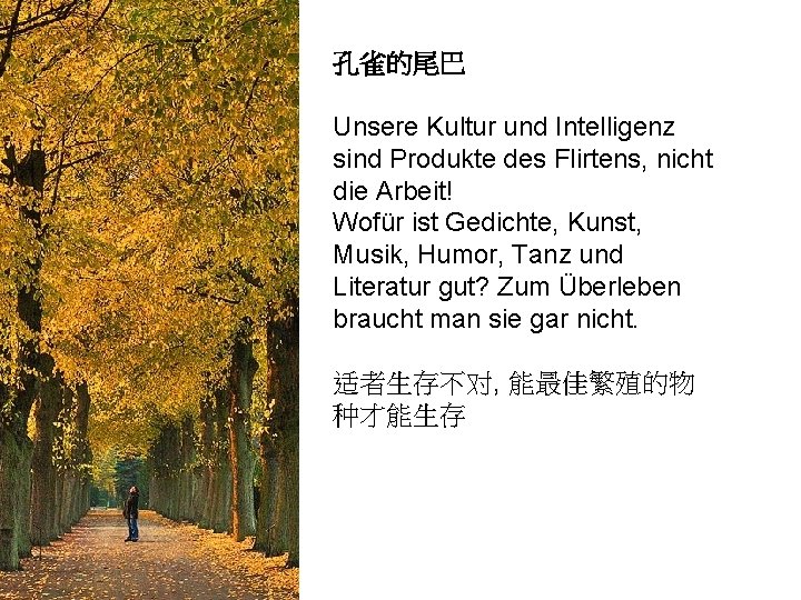 孔雀的尾巴 Unsere Kultur und Intelligenz sind Produkte des Flirtens, nicht die Arbeit! Wofür ist