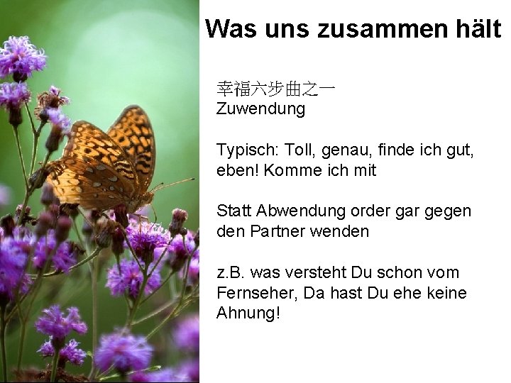 Was uns zusammen hält 幸福六步曲之一 Zuwendung Typisch: Toll, genau, finde ich gut, eben! Komme