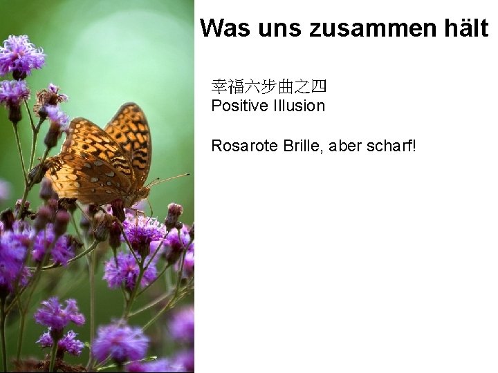 Was uns zusammen hält 幸福六步曲之四 Positive Illusion Rosarote Brille, aber scharf! 