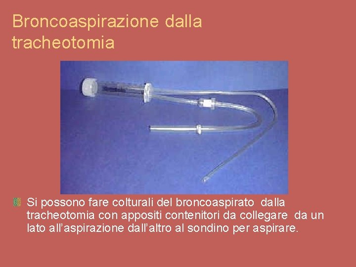 Broncoaspirazione dalla tracheotomia Si possono fare colturali del broncoaspirato dalla tracheotomia con appositi contenitori