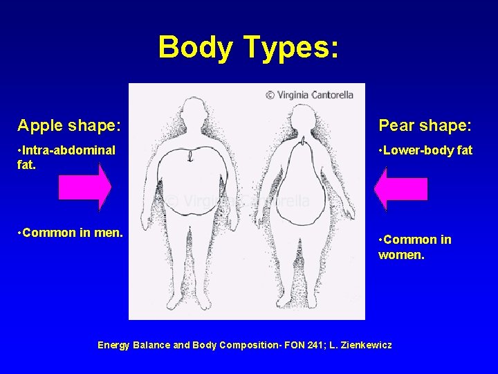 Body Types: Apple shape: Pear shape: • Intra-abdominal fat. • Lower-body fat • Common