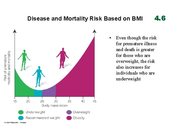 Disease and Mortality Risk Based on BMI 4. 6 • Even though the risk