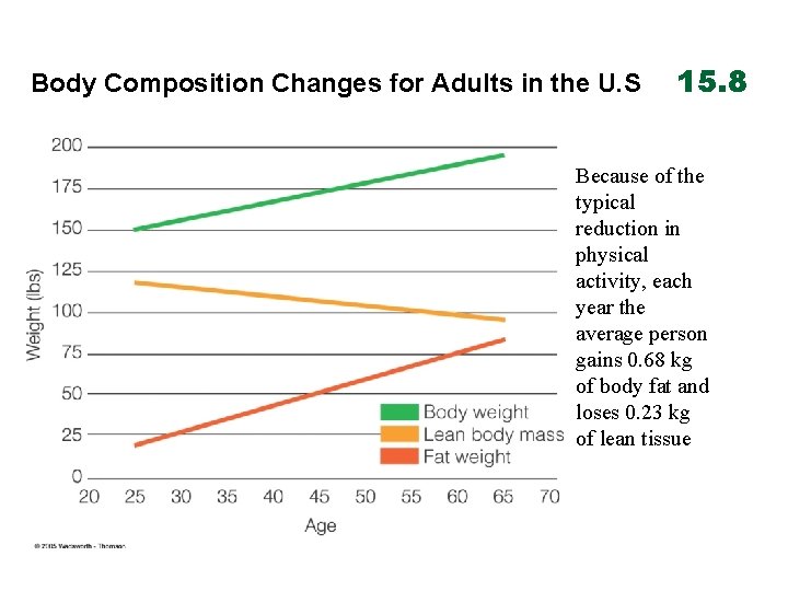 Body Composition Changes for Adults in the U. S 15. 8 Because of the