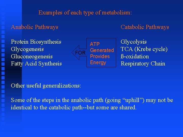 Examples of each type of metabolism: Anabolic Pathways Protein Biosynthesis Glycogenesis Gluconeogenesis Fatty Acid