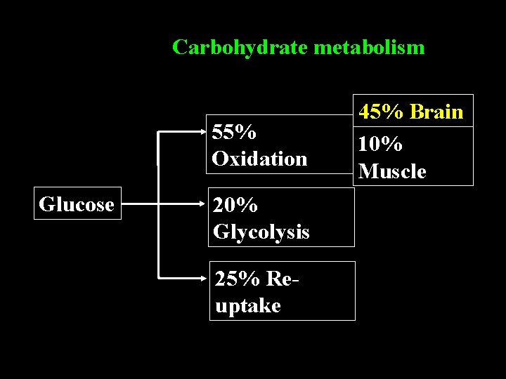 Carbohydrate metabolism 55% Oxidation Glucose 20% Glycolysis 25% Reuptake 45% Brain 10% Muscle 