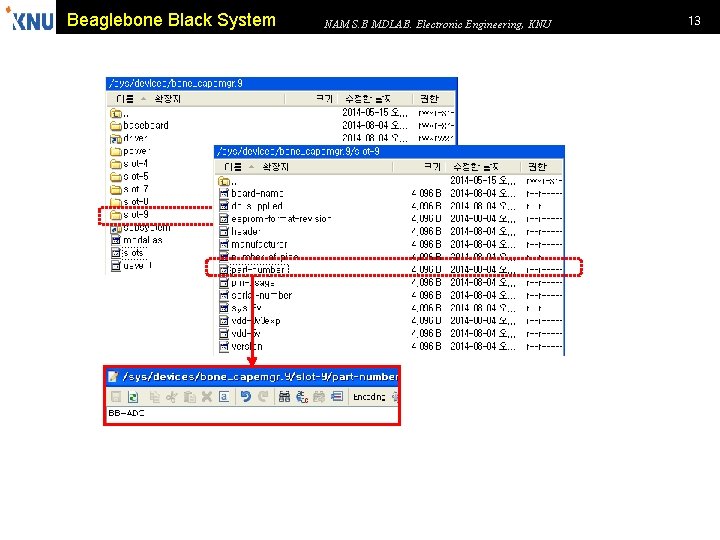 Beaglebone Black System NAM S. B MDLAB. Electronic Engineering, KNU 13 