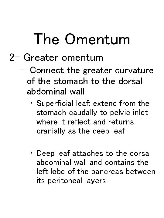 The Omentum 2 - Greater omentum – Connect the greater curvature of the stomach