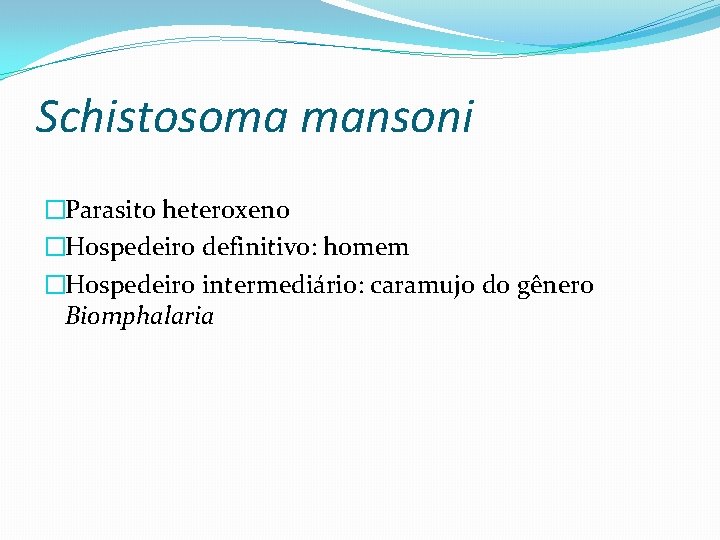 Schistosoma mansoni �Parasito heteroxeno �Hospedeiro definitivo: homem �Hospedeiro intermediário: caramujo do gênero Biomphalaria 