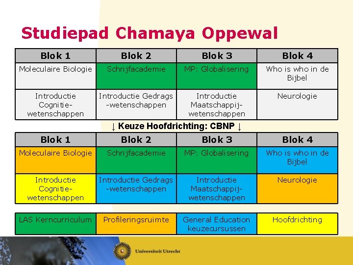 Studiepad Chamaya Oppewal Blok 1 Blok 2 Blok 3 Blok 4 Moleculaire Biologie Schrijfacademie