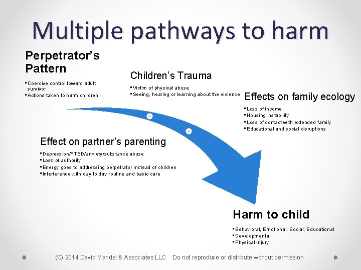 Multiple pathways to harm Perpetrator’s Pattern • Coercive control toward adult survivor • Actions