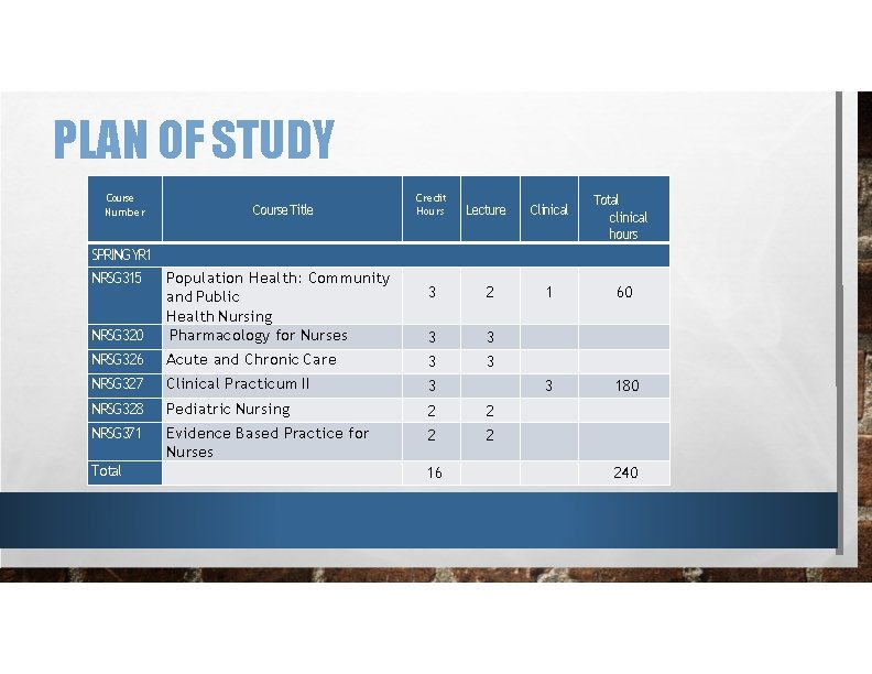 PLAN OF STUDY Course Number Course Title SPRINGYR 1 NRSG 315 Population Health: Community