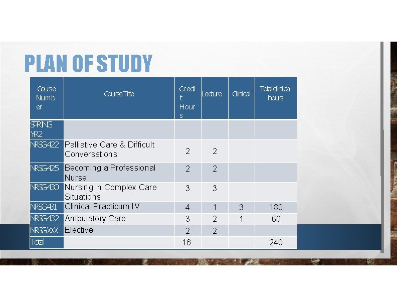 PLAN OF STUDY Course Numb er Course Title SPRING YR 2 NRSG 422 Palliative