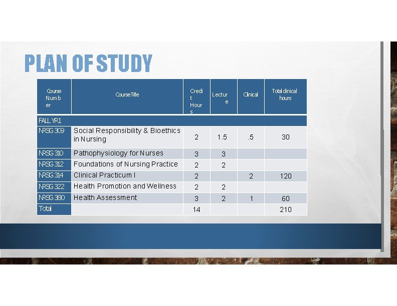 PLAN OF STUDY Course Numb er FALL YR 1 NRSG 309 Course. Title Credi