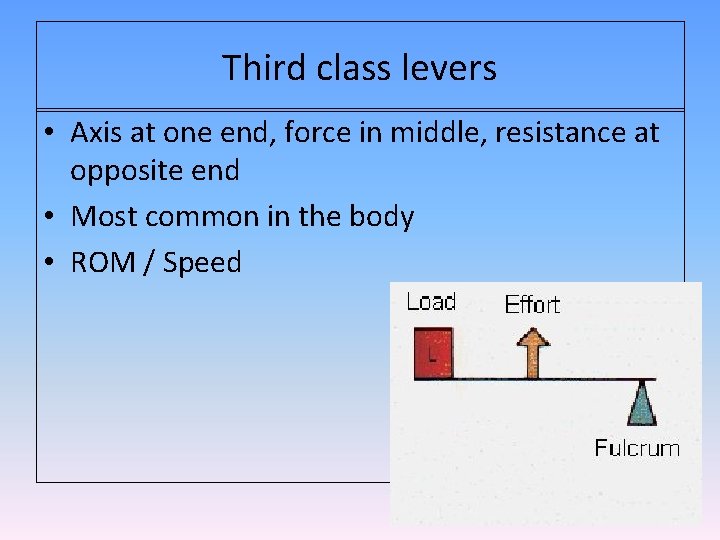 Third class levers • Axis at one end, force in middle, resistance at opposite Third class levers • Axis at one end, force in middle, resistance at opposite