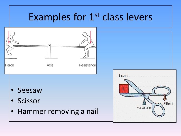 Examples for 1 st class levers • Seesaw • Scissor • Hammer removing a