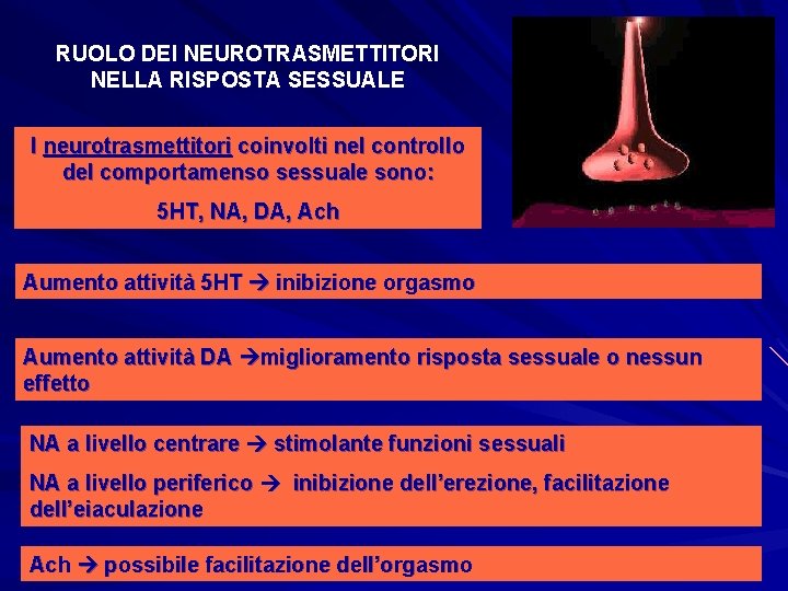 RUOLO DEI NEUROTRASMETTITORI NELLA RISPOSTA SESSUALE I neurotrasmettitori coinvolti nel controllo del comportamenso sessuale