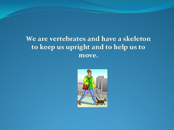 We are vertebrates and have a skeleton to keep us upright and to help
