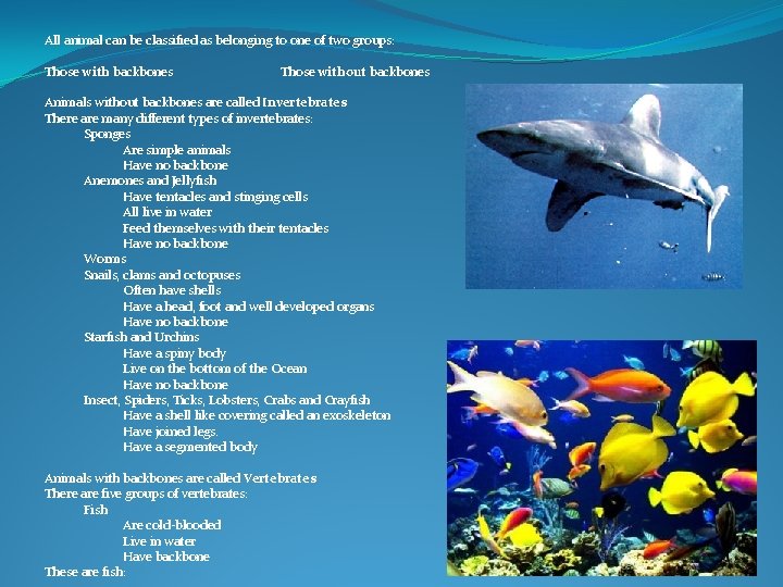 All animal can be classified as belonging to one of two groups: Those with