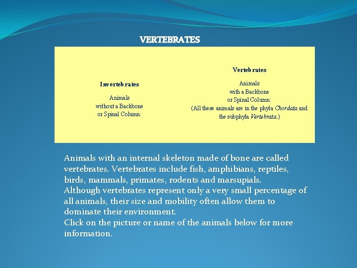 VERTEBRATES Vertebrates Invertebrates Animals without a Backbone or Spinal Column: Animals with a Backbone