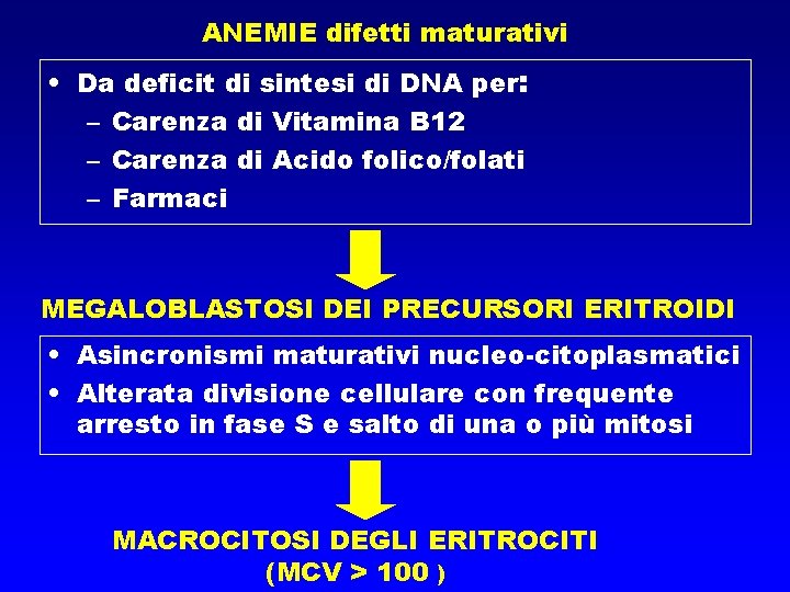 ANEMIE difetti maturativi • Da deficit di sintesi di DNA per: – Carenza di