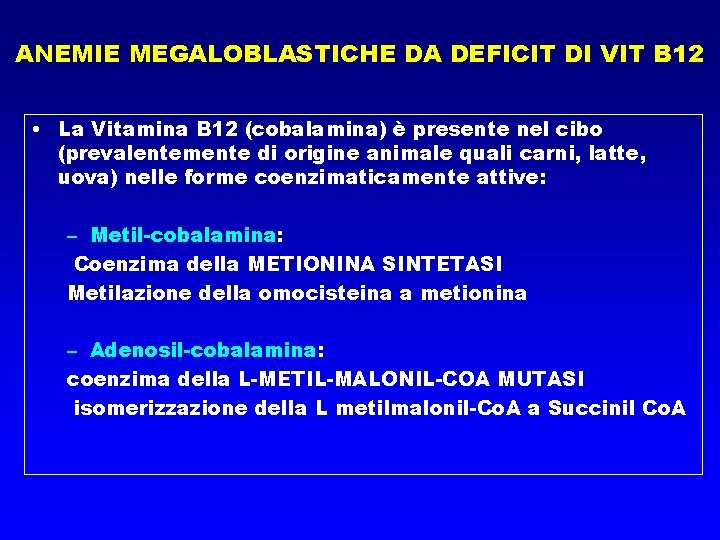 ANEMIE MEGALOBLASTICHE DA DEFICIT DI VIT B 12 • La Vitamina B 12 (cobalamina)