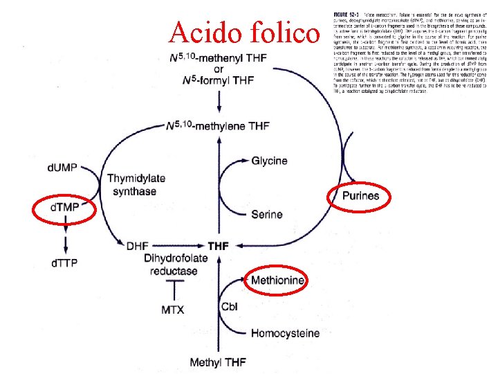 Acido folico 