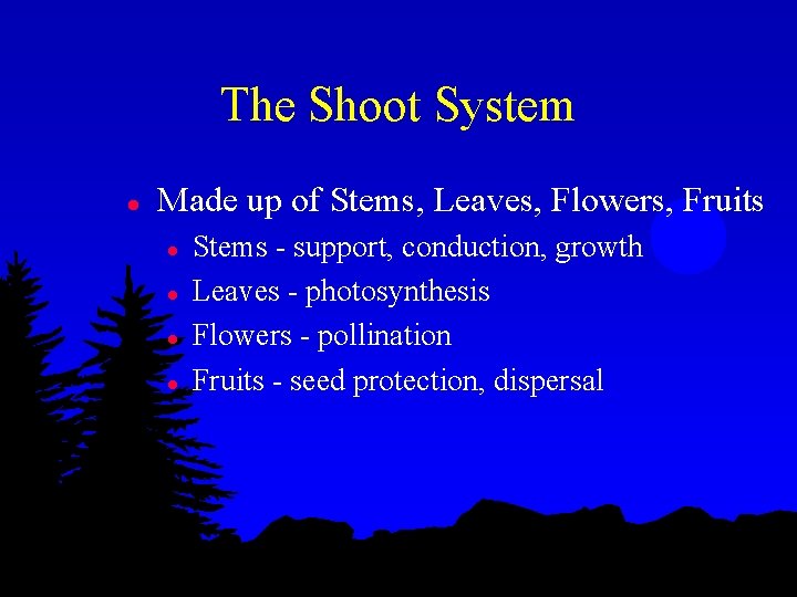 The Shoot System l Made up of Stems, Leaves, Flowers, Fruits l l Stems