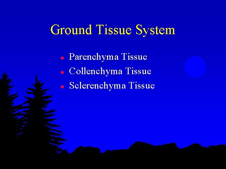 Ground Tissue System l l l Parenchyma Tissue Collenchyma Tissue Sclerenchyma Tissue 