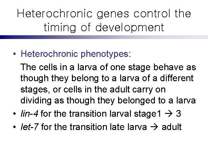 Heterochronic genes control the timing of development • Heterochronic phenotypes: The cells in a
