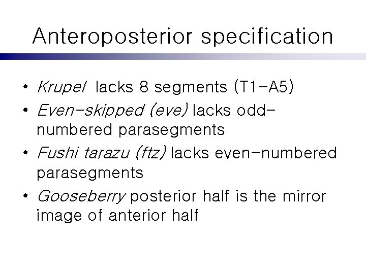 Anteroposterior specification • Krupel lacks 8 segments (T 1 -A 5) • Even-skipped (eve)