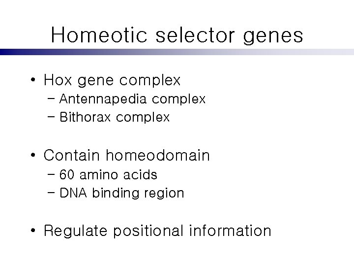 Homeotic selector genes • Hox gene complex – Antennapedia complex – Bithorax complex •