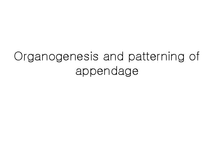Organogenesis and patterning of appendage 