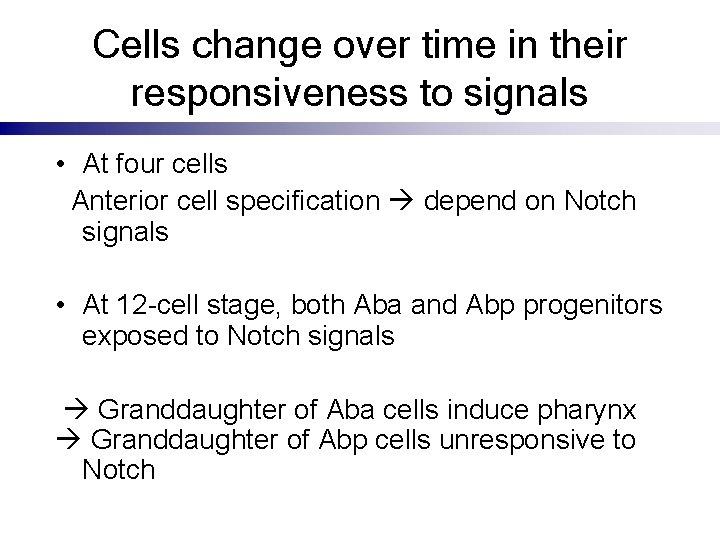 Cells change over time in their responsiveness to signals • At four cells Anterior