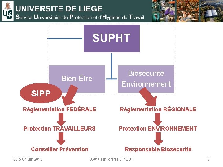 SIPP Réglementation FÉDÉRALE Réglementation RÉGIONALE Protection TRAVAILLEURS Protection ENVIRONNEMENT Conseiller Prévention Responsable Biosécurité 06