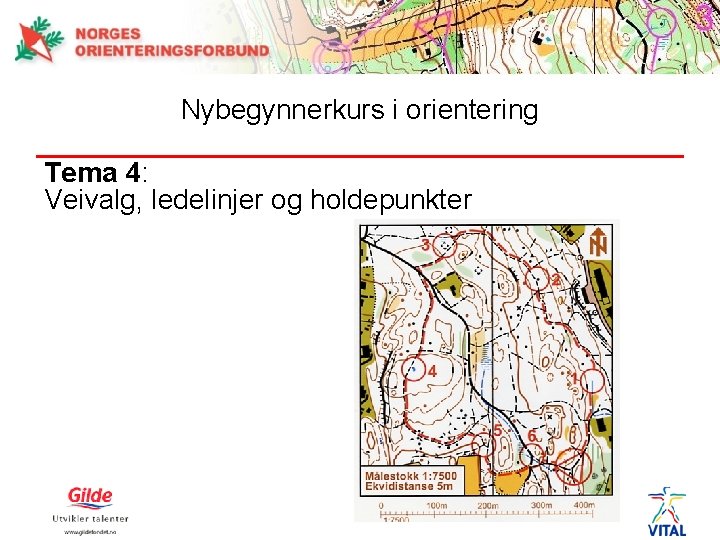 Nybegynnerkurs i orientering Tema 4: Veivalg, ledelinjer og holdepunkter 