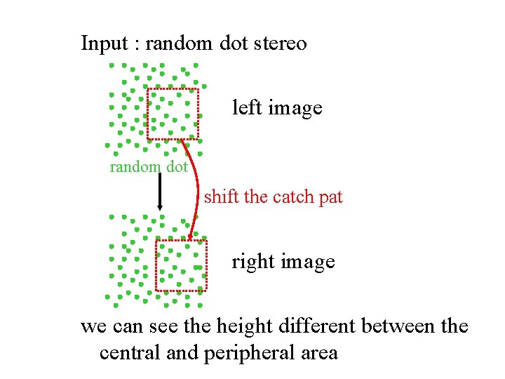 Input : random dot stereo left image random dot shift the catch pat right