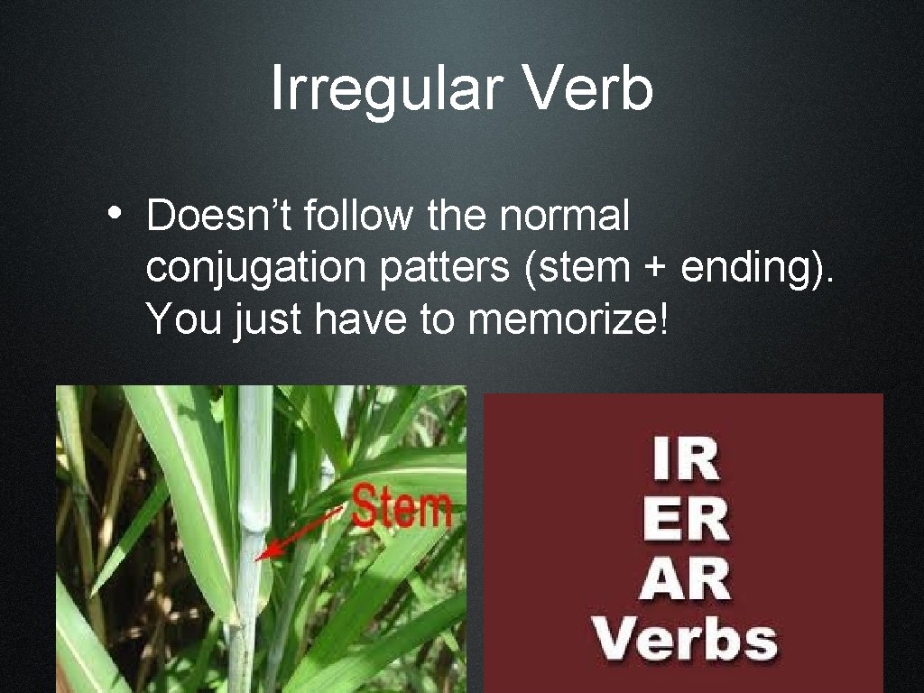 Irregular Verb • Doesn’t follow the normal conjugation patters (stem + ending). You just