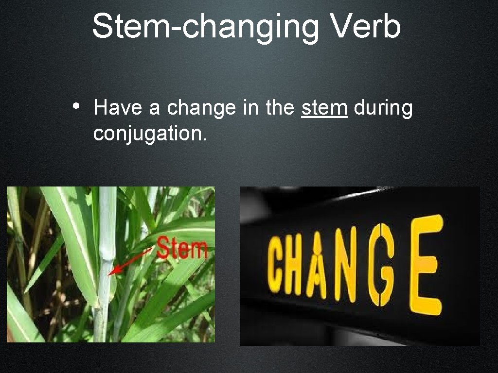 Stem-changing Verb • Have a change in the stem during conjugation. 