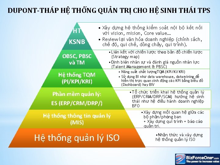 DUPONT-THÁP HỆ THỐNG QUẢN TRỊ CHO HỆ SINH THÁI TPS HT KSNB • Xây