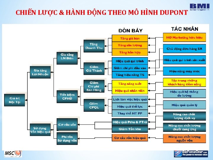 CHIẾN LƯỢC & HÀNH ĐỘNG THEO MÔ HÌNH DUPONT 