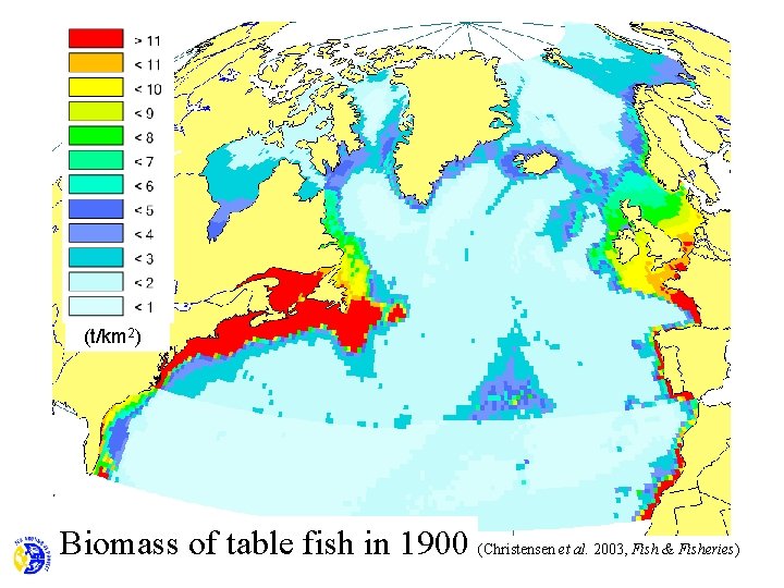 (t/km 2) Biomass of table fish in 1900 (Christensen et al. 2003, Fish &