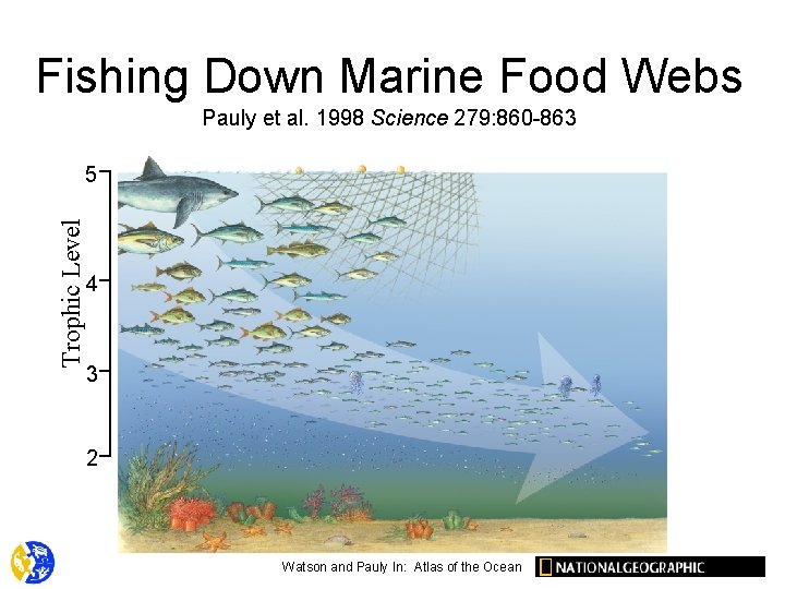 Fishing Down Marine Food Webs Pauly et al. 1998 Science 279: 860 -863 Trophic