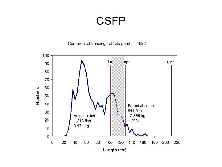 CSFP 