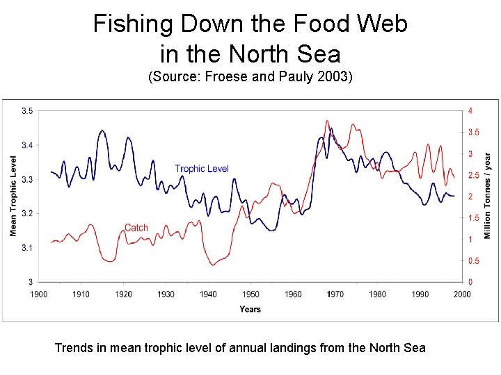 Fishing Down the Food Web in the North Sea (Source: Froese and Pauly 2003)