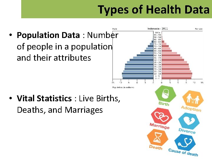Types of Health Data • Population Data : Number of people in a population