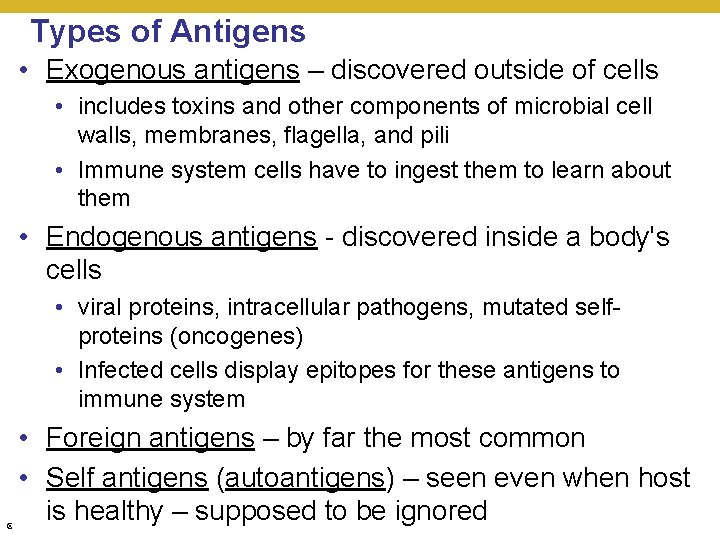 Types of Antigens • Exogenous antigens – discovered outside of cells • includes toxins