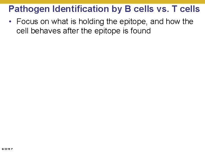Pathogen Identification by B cells vs. T cells • Focus on what is holding