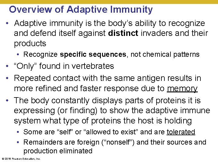 Overview of Adaptive Immunity • Adaptive immunity is the body’s ability to recognize and