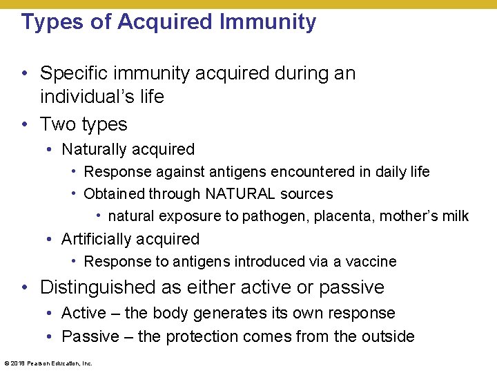 Types of Acquired Immunity • Specific immunity acquired during an individual’s life • Two